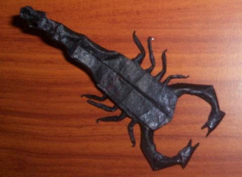 Scorpion