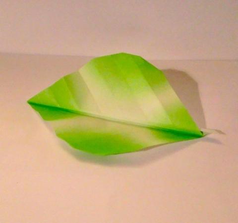 Leaf