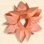 Kusudama ' Fairy Wings'