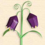 Russian Fritillaria