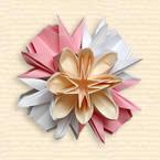 Kusudama 'Nymphaea'