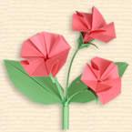 Petunia