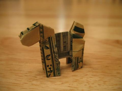 $ Bill Terrier