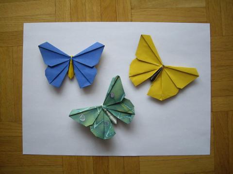 Origamido Butterfly