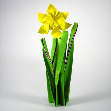 Daffodil