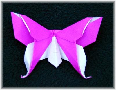 Alexander Swallowtail (Butterfly)