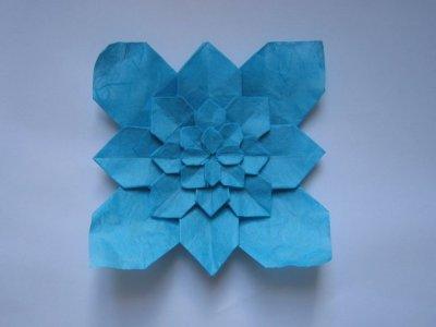 Hydrangea (video)