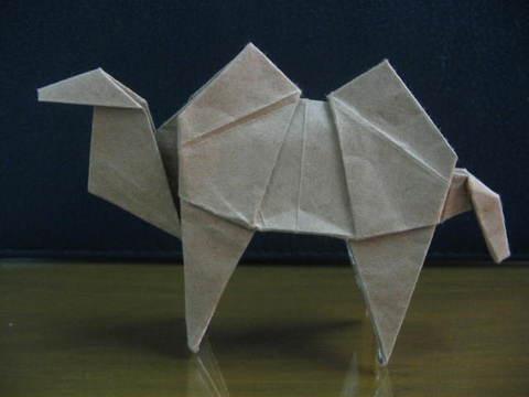 Camel