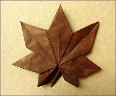 Maple Leaf
