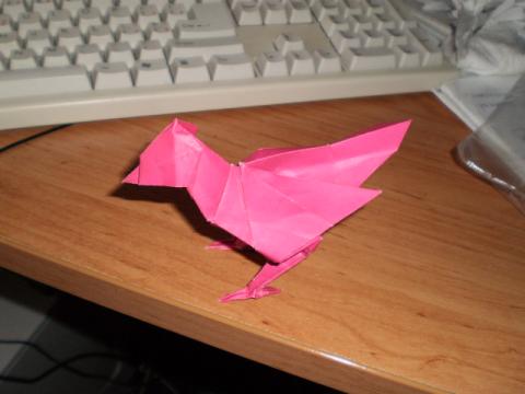 Bird