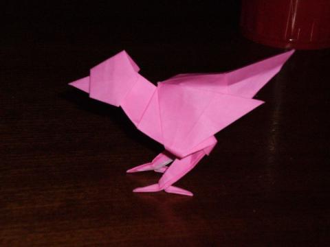Bird