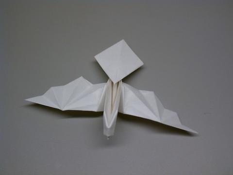 Dove