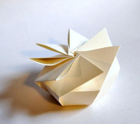 7 Pleats Box