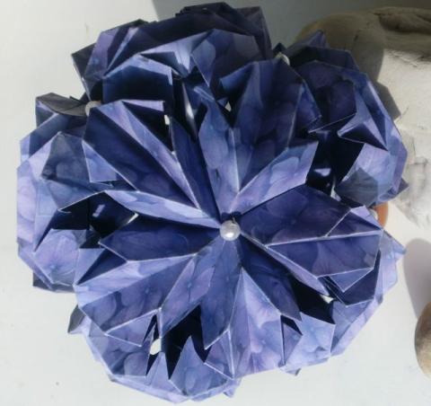 Chrysanthemum Ball