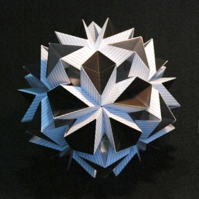 Chrysanthemum Variation