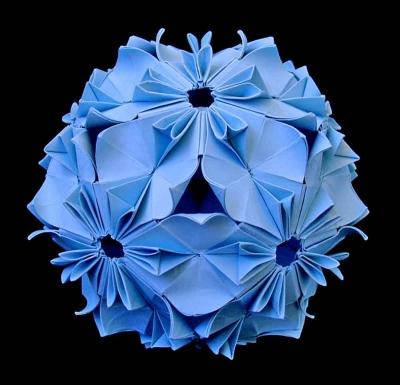 Camellia Variation