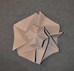 Star Dome