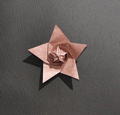 Seed Star