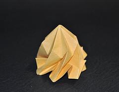 Step Star Dome (8 & 10 Fold)