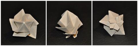 Step Star Dome (4 & 5 Fold)