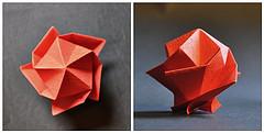 Step Star Dome (4 & 5 Fold)