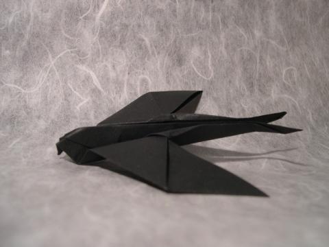 Swallow