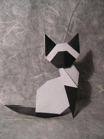 Siamese cat