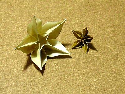 Carambola (video)