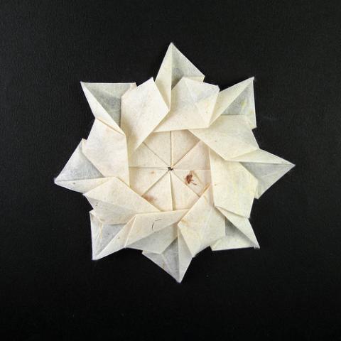 Flower A