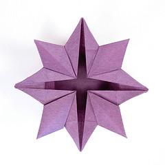 Star Flower