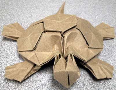 Turtle