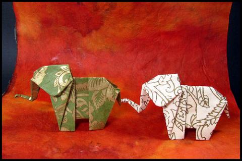 Elephant