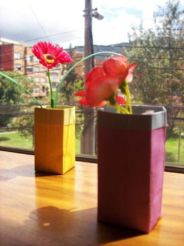 Seedling Pot