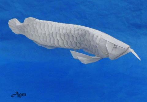 Arowana