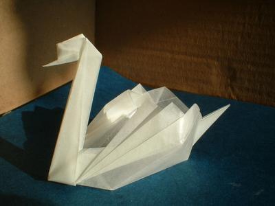 Swan