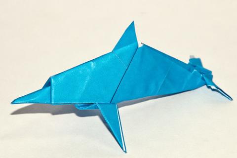 Dolphin