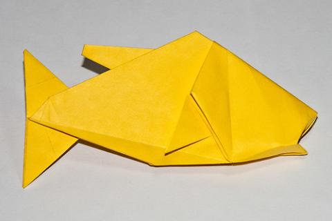 Fish