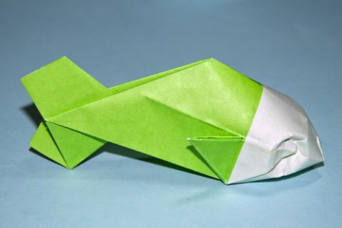 Fish