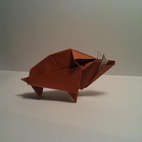 Wild Boar (CP)