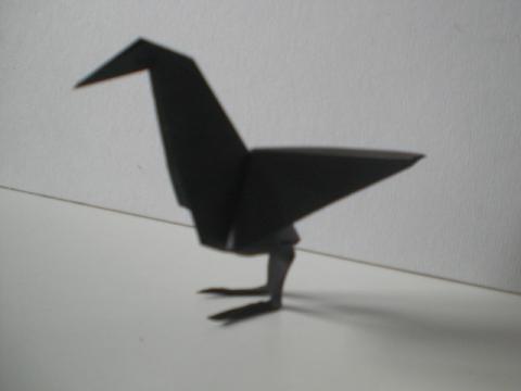 Raven