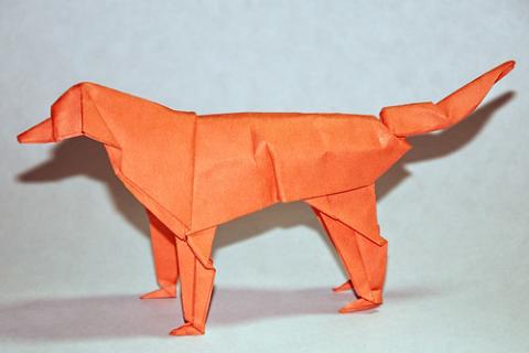 Irish Setter