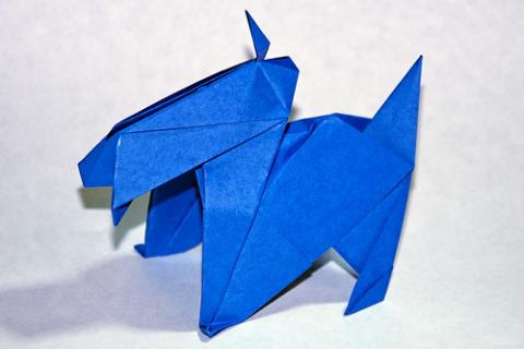 Scottie