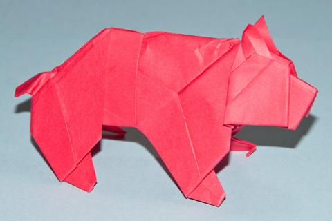 Bear
