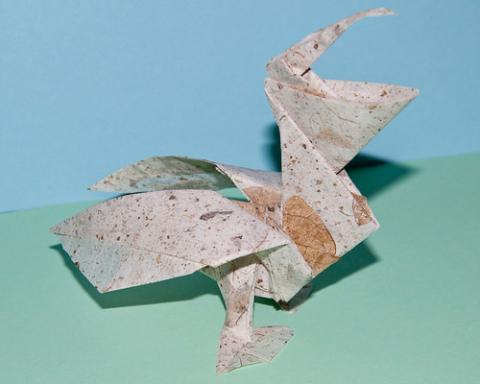 Pelican