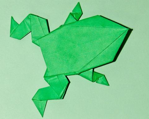 Frog