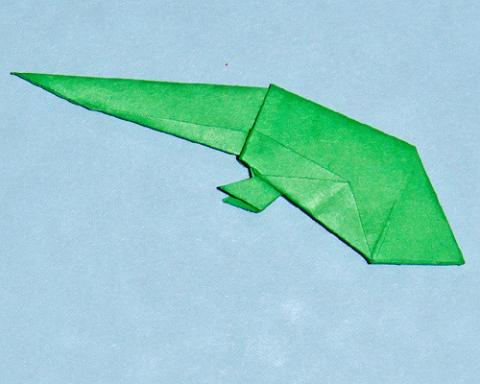 Tadpole with Hind Legs