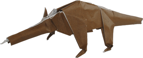 Anteater