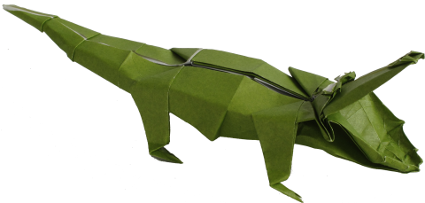 Alligator