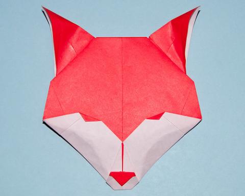 Fox Head