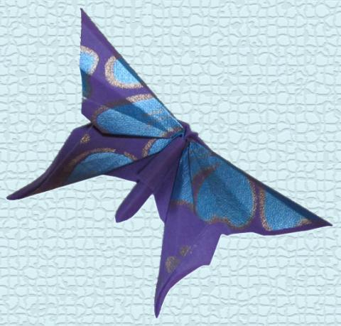A Butterfly for Guy Kawasaki